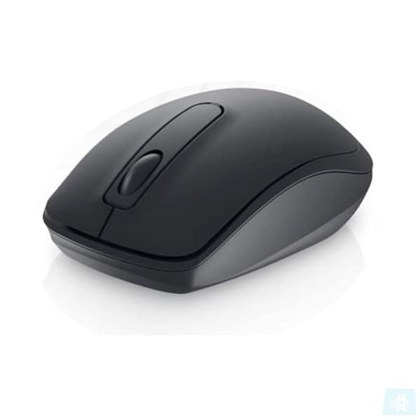 mouse